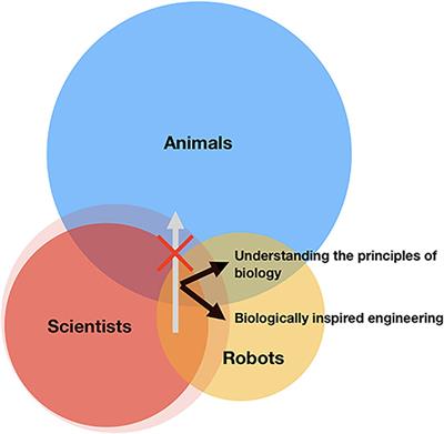 Editorial: Emergent Behavior in Animal-Inspired Robotics